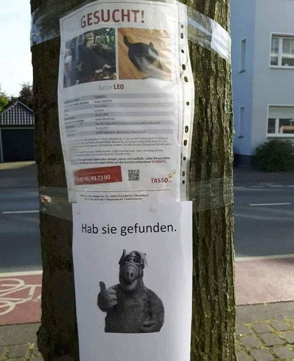Kommen Sie, kommen Sie! PICDUMP!
Wer auch immer das war, mein Herz gehört dir...