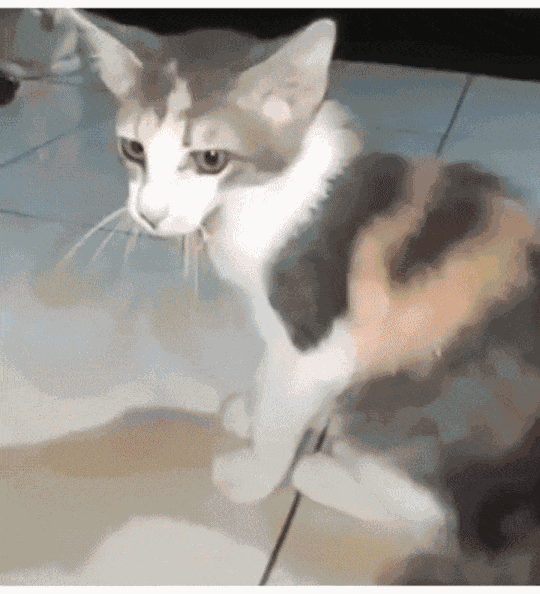 Animiertes GIF