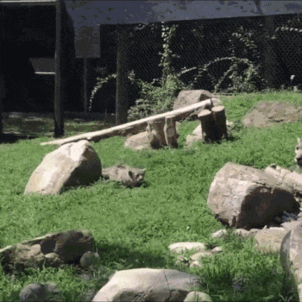 Animiertes GIF