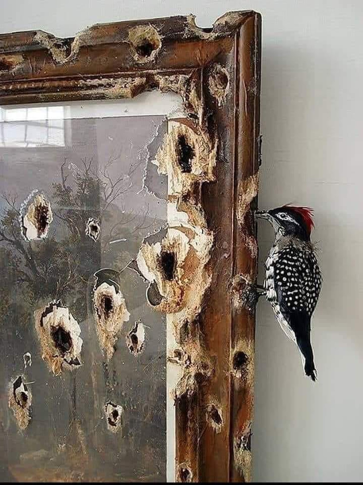 PICDUMP 400! 亞\nThema des heutigen Kunstbeitrags:
'Kunst und ihre Liebhaber'