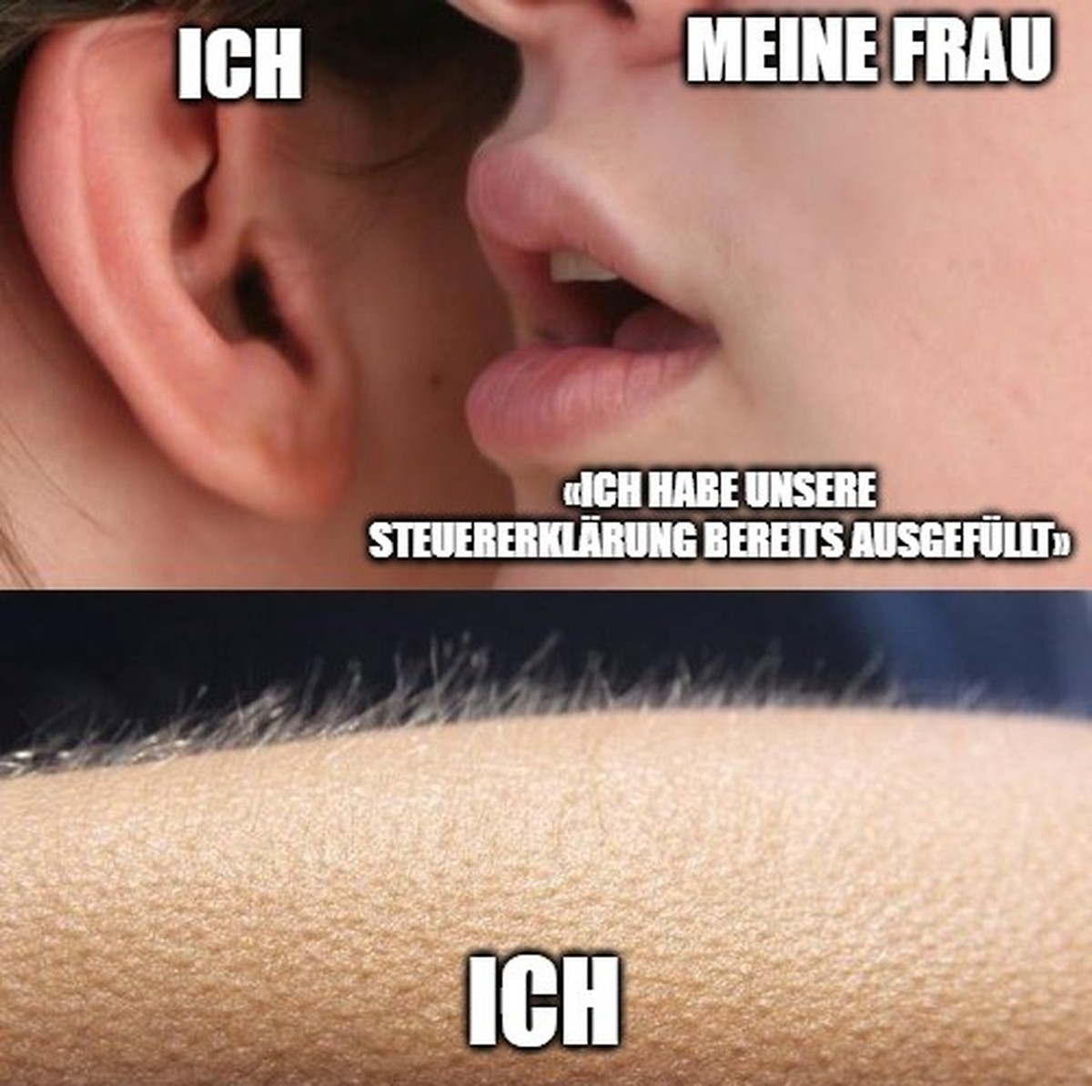 Die besten Memes zur Steuererklärung