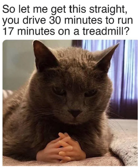 https://www.reddit.com/r/memes/comments/12v9il6/ehm_cats_got_a_point/