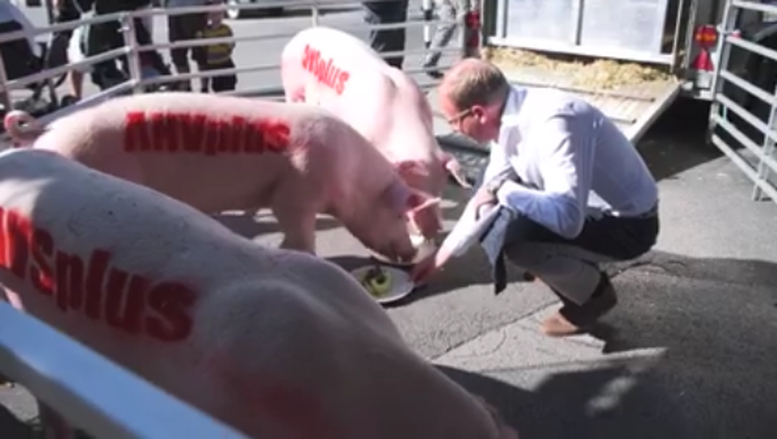 Die CVP irritiert mit Facebook-Video: Werden Schweizer Rentner als Schweine dargestellt?