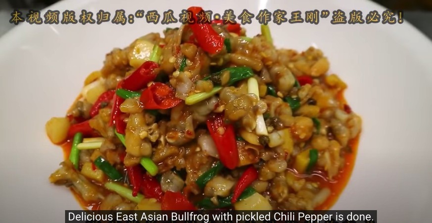 chef wang gang china chinesische küche kantonesisches essen food kochen youtube frosch ratte stierkopf salamander https://www.youtube.com/channel/UCg0m_Ah8P_MQbnn77-vYnYw