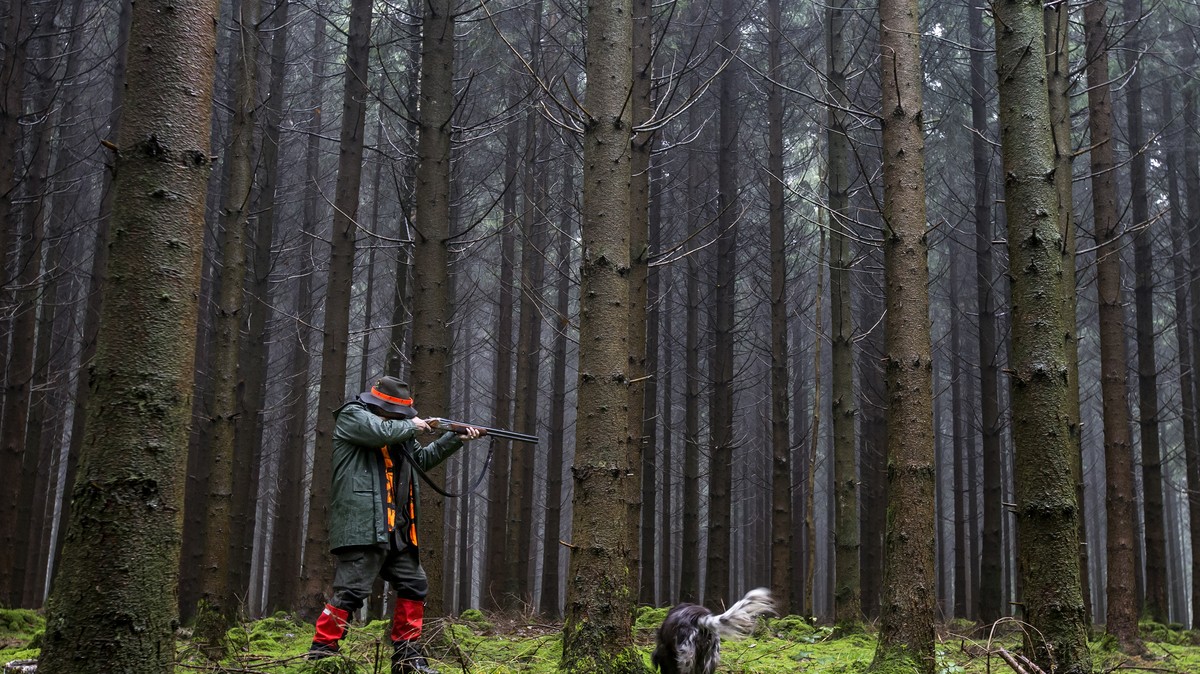 Ein Jaeger von der Jagdgesellschaft Neudorf ist auf der Jagd im Lindenwald am Mittwoch, 26. Oktober 2016, in Neudorf. (KEYSTONE/Alexandra Wey)