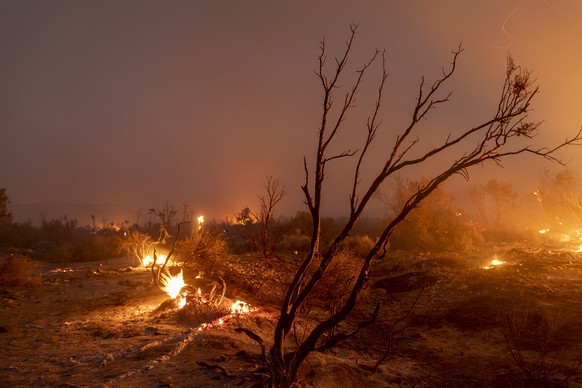 epa08683058 A scorched landscape is left in the wake of the Bobcat Fire near Littlerock, California, USA, 19 September 2020 (issued 20 September 2020). The fire has expanded to more than 91,000 acres  ...