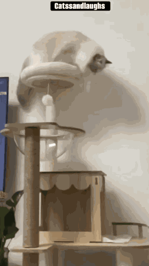 Animiertes GIF