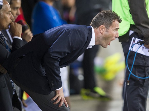 Muss sich Sportchef Alex Frei gegen die Young Boys wieder ärgern, oder fährt Luzern den ersten Dreier ein? &nbsp;