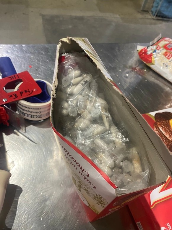 vogelspinnen zoll köln