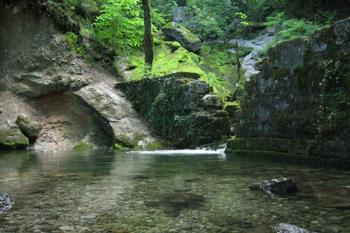 Trésor naturel genevois, l'Allondon borde forêts et campagnes avant de se jeter dans le Rhône.