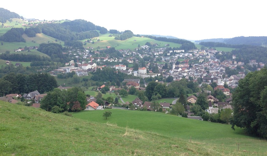 Der Blick auf Wald.