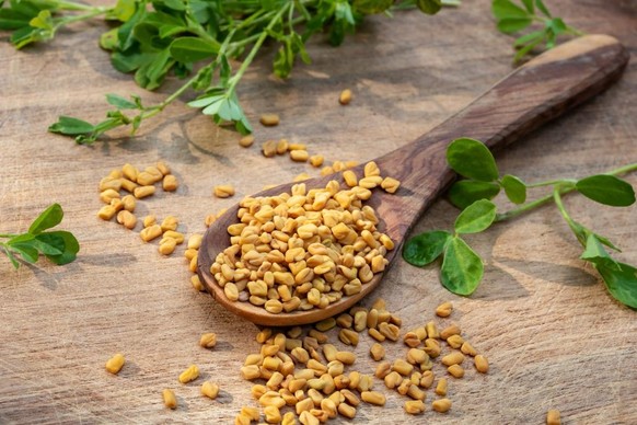 Bockshornklee, Fenugreek