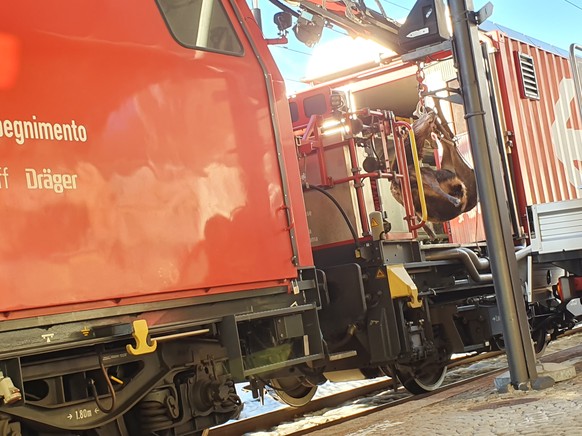 Als ich heute Morgen um 09:10 in Airolo am Bahnhof wartete, kam ein SBB Wartungszug. Dieser hielt im Bahnhof und lud einen toten Hirsch auf ein Pickup der SBB Feuerwehr. Das komische daran war, dass d ...