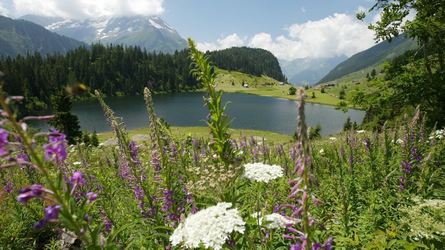 Der Golzernsee im Maderanertal, aufgenommen am Montag, 7. Juli 2003. Am Montag legte der Urner Regierungsrat die Resultate einer Machbakeitssstudie vor, welche die Moeglichkeiten aufzeigen, bestimmte  ...