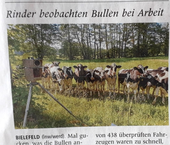 Cute News: Die herzigsten Tierbilder aus dem Internet.