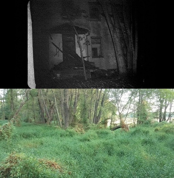 The Blair Witch Project