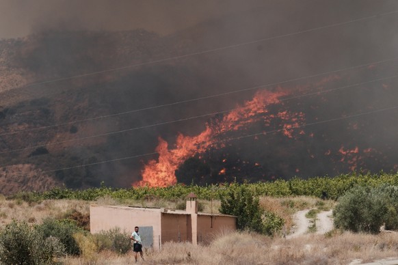 A wildfire rages in Alfajir, near Almeria in southeastern Spain, Friday, July 10, 2026. (AP Photo/Gregorio Marrero)
Spain Wildfire