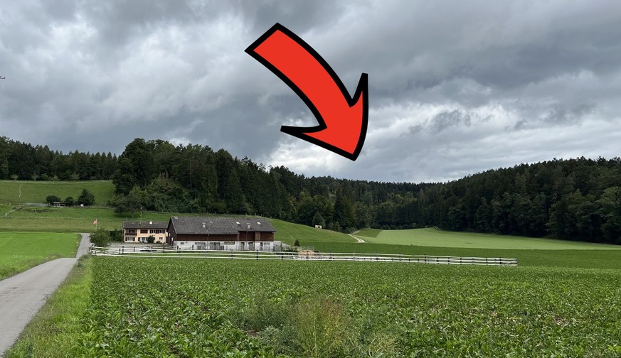 Atommüll-Tiefenlager soll ins Zürcher Unterland – das sind die wichtigsten Reaktionen