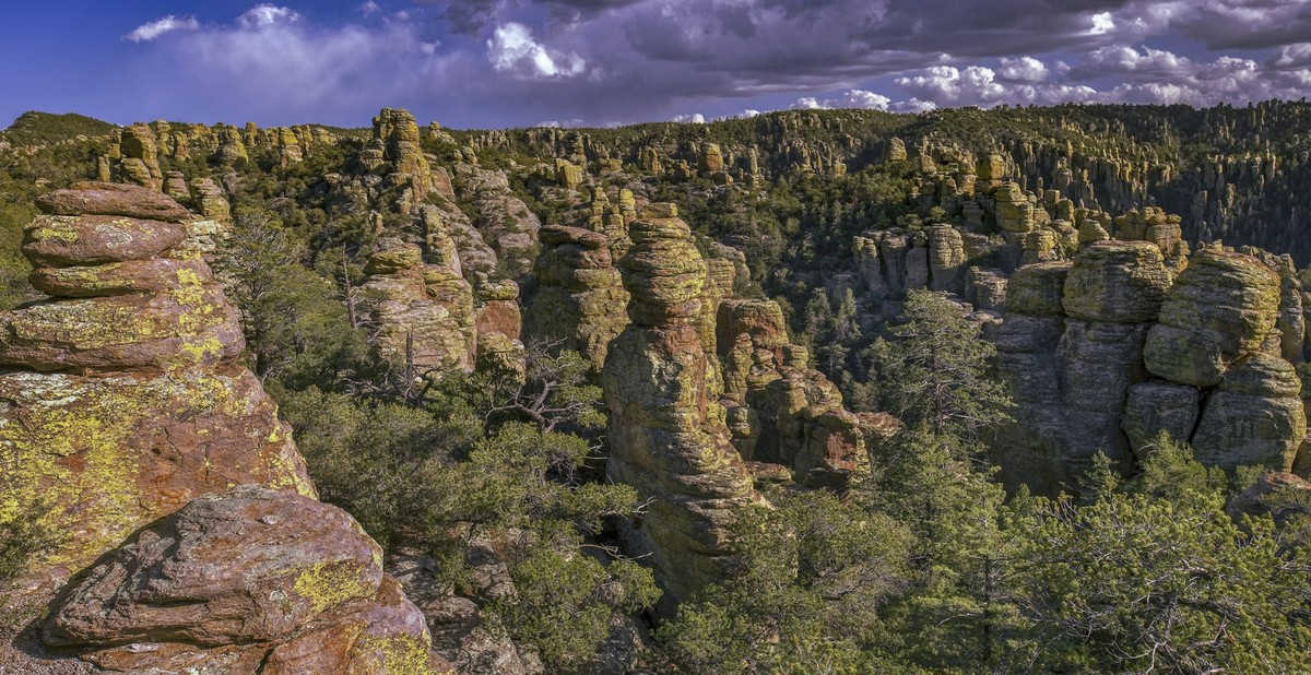 Land der aufrecht stehenden Felsen, Ablagerung von vulkanischem Rhyolith, Chiricahua National Monument, Arizona Land of the Standing-Up Rocks, Volcanic rhyolite Deposition, Chiricahua National Monumen ...