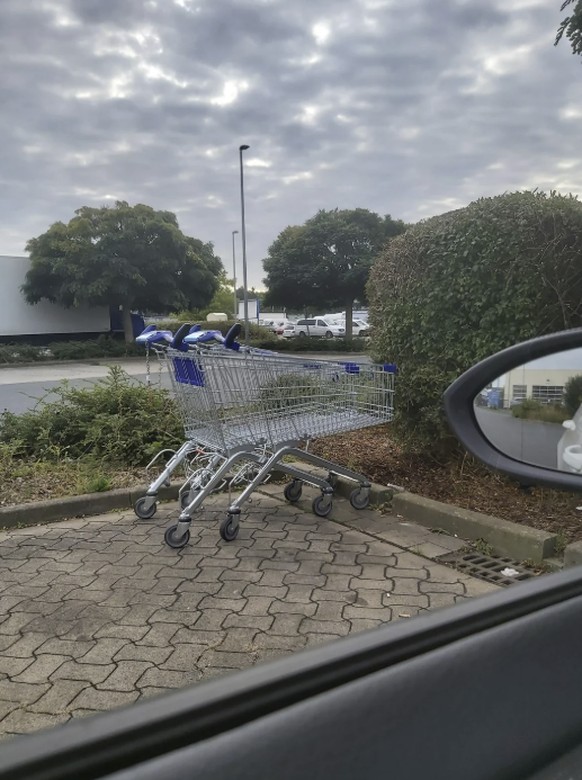 Gittertiere auf Reddit: Lustige Einkaufswagen/Einkaufswägelchen