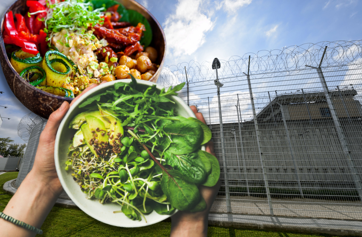 Des bowls végans à la prison de Champ-Dollon? La Cour européenne des droits de l'homme se penche sérieusement dessus...