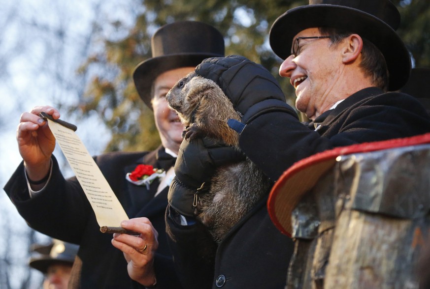 Und täglich grüsst das Murmeltier:&nbsp;«Punxsutawney Phil»