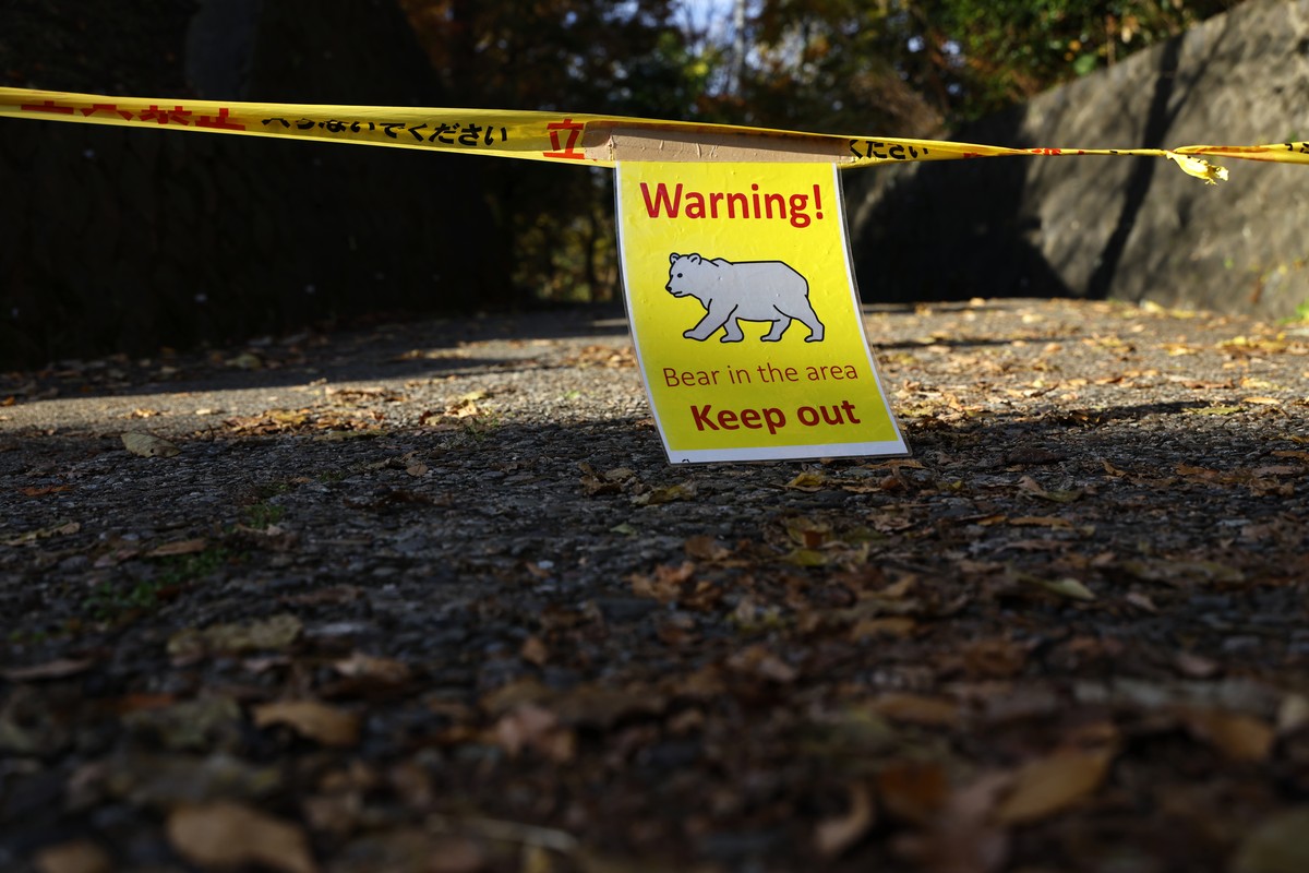 epa12522411 A warning sign stands at Senshu Park, where bear sightings have led to restricted access, in Akita, Akita Prefecture, northeastern Japan, 13 November 2025. Earlier in the day, to address t ...