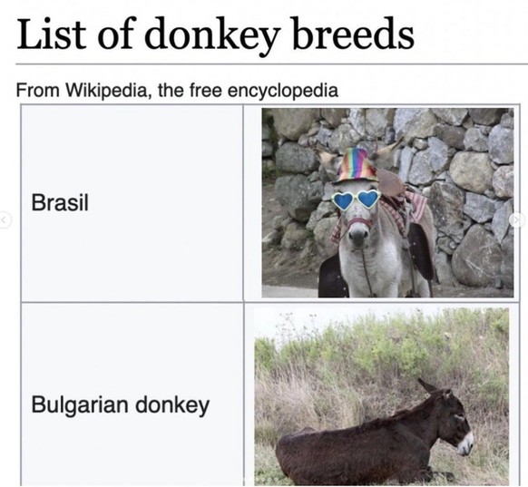 wikidepths fun facts