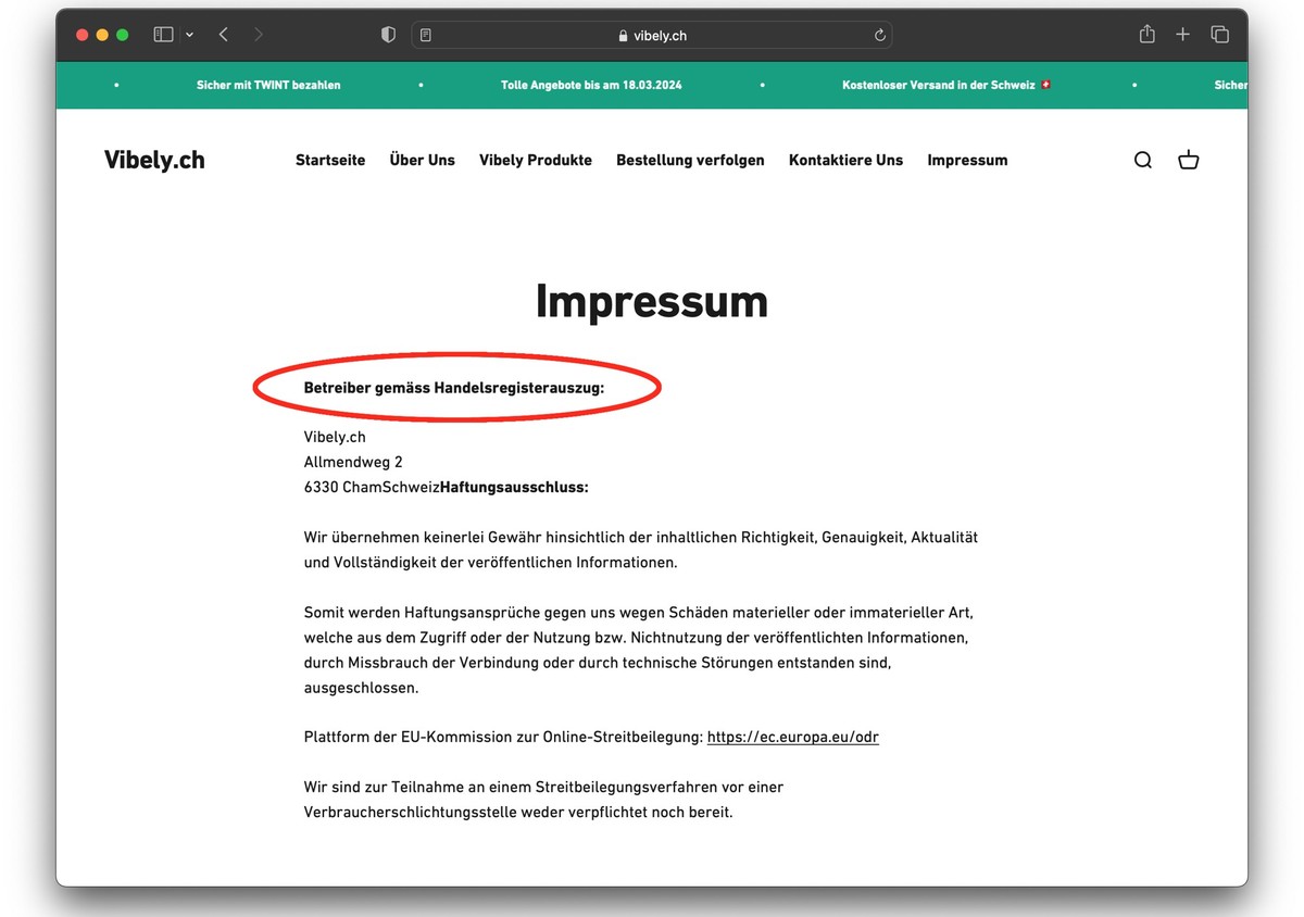Screenshot: vibely.ch