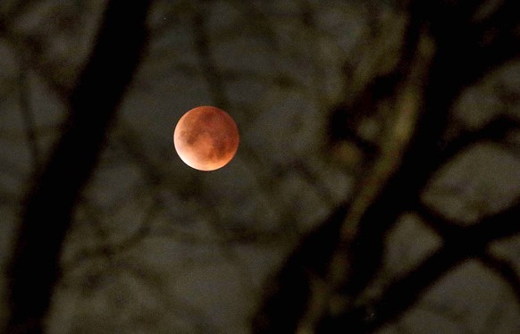 A total lunar eclipse rises over deep South Texas Tuesday March 3, 2026 in Edinburg, Texas. (Delcia Lopez/The Monitor via AP)
Blood Moon Eclipse