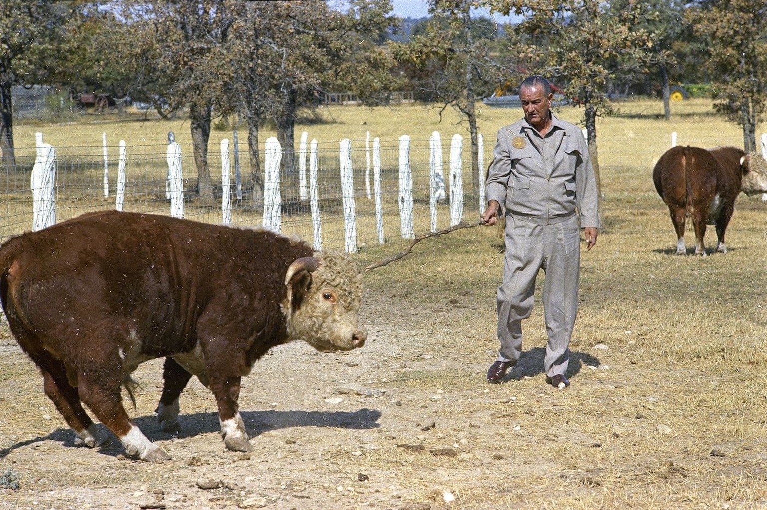 President Lyndon B. Johnson is seen at his ranch in Johnson City, Texas in Nov. 1966. (AP Photo)