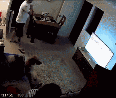 Animiertes GIF