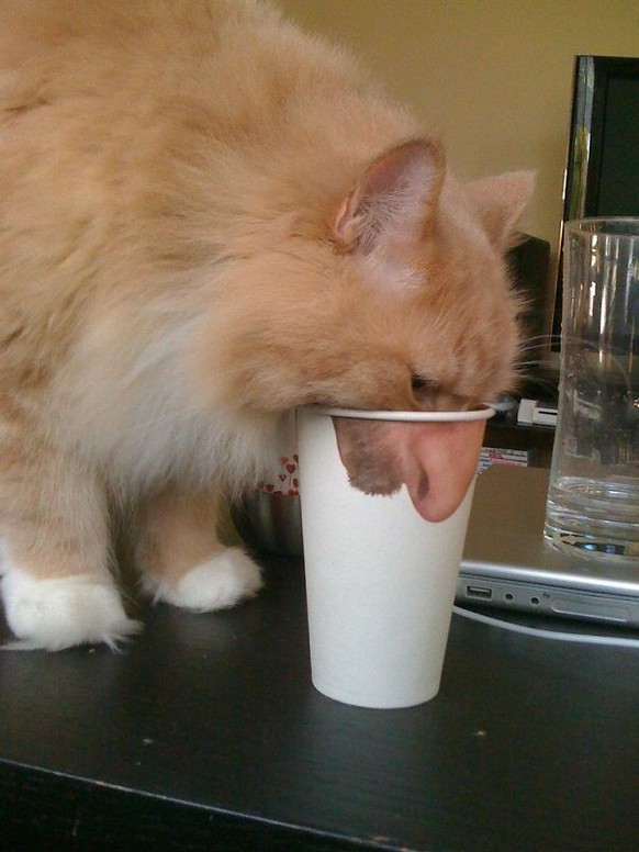 picdump 131217