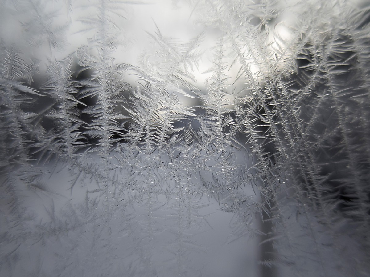 Météo: Pourquoi l'hiver est si doux en ce début d'année 2023