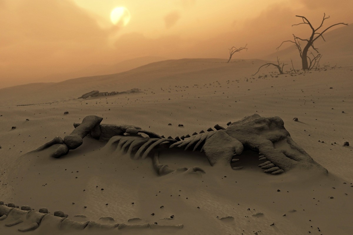 Dinosaur skeletons in the desert This would have been a common scene some 65 million years ago, after that dinosaurs had been wiped up by, most probably, the impact of a 10-km comet from space. The im ...
