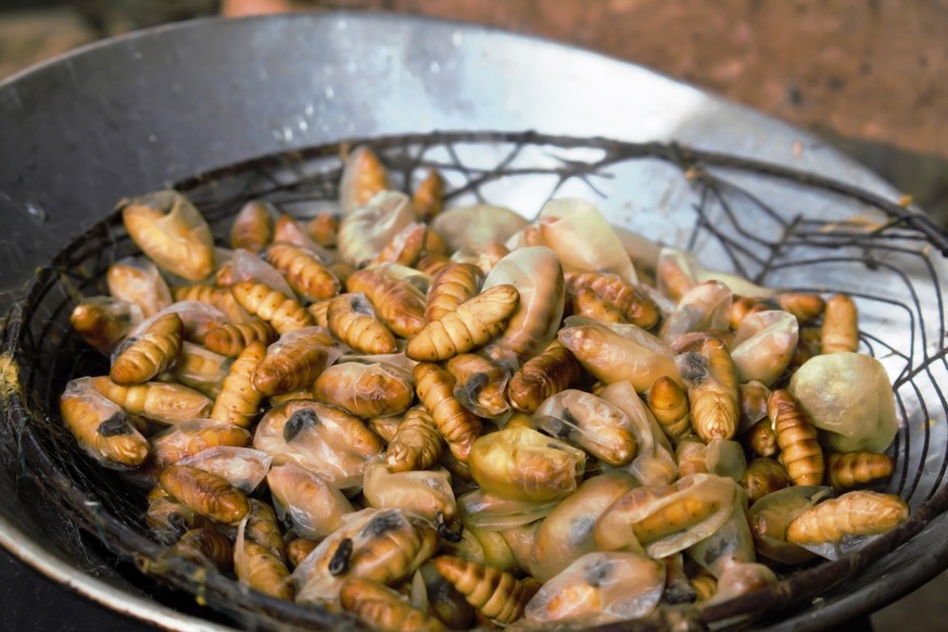 mehlwürmer insekten essen food fernost asien wäh