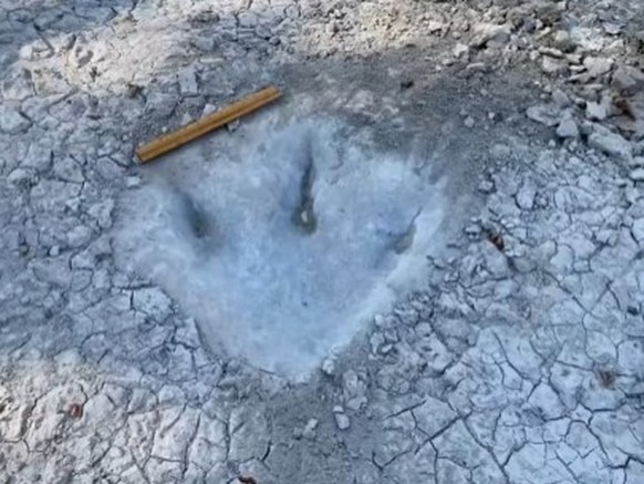 In Texas sind neue Versteinerungen von Abdrücken von Dinosaurier zum Vorschein gekommen.
