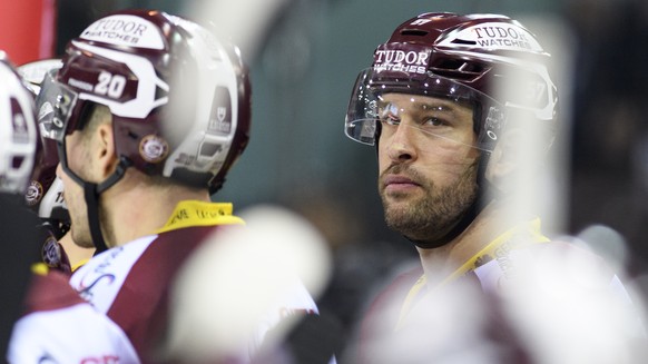 Le retour du joueur Genevois, Goran Bezina, lors du match du championnat suisse de hockey sur glace de National League LNA, entre le Geneve Servette HC et le HC Fribourg-Gotteron, ce dimanche 5 fevrie ...