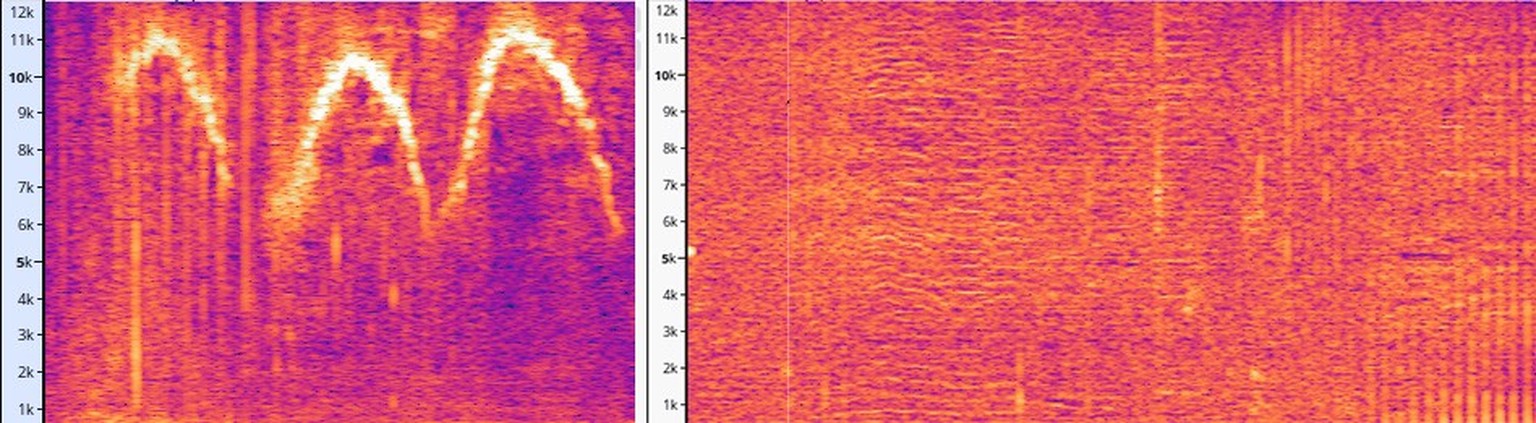 Eine Spektrografie, die ein delfinähnliches Pfeifen (links) sowie Klicks und Brummtöne (rechts) zeigt, die DolphinGemma während der Tests erzeugt hat.
https://blog.google/technology/ai/dolphingemma/