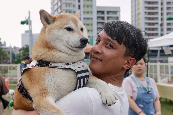 Taiwanese people take their dogs to join an activity on National Pet Day in Taipei, Taiwan, Saturday, April 11, 2026. (AP Photo/Chiang Ying-ying)
Taiwan Pet Day