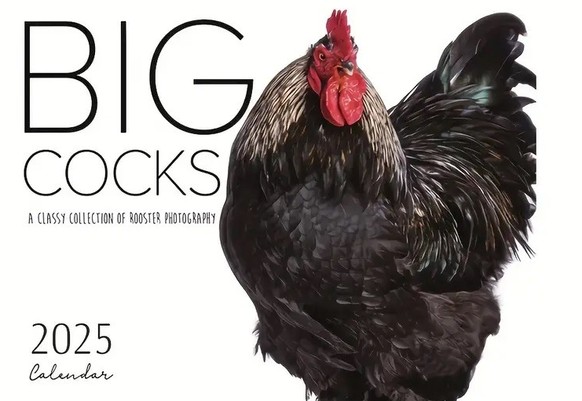 Big Cocks 2025 Calendar https://www.temu.com/ch-en/2025-vibrant-wildlife-rooster-wall-calendar-daily-organizer-for--english-text--office-home-decor-g-601099692872860.html?top_gallery_url=https%3A%2F%2 ...