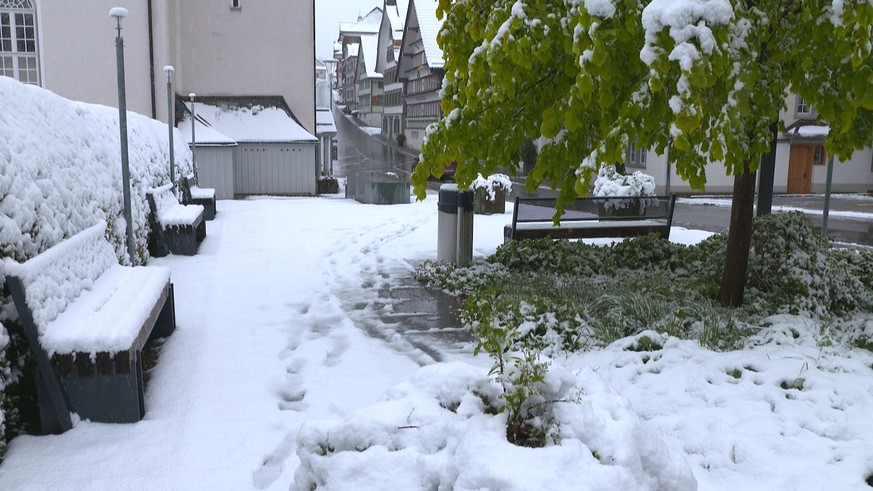Hemberg SG Schnee