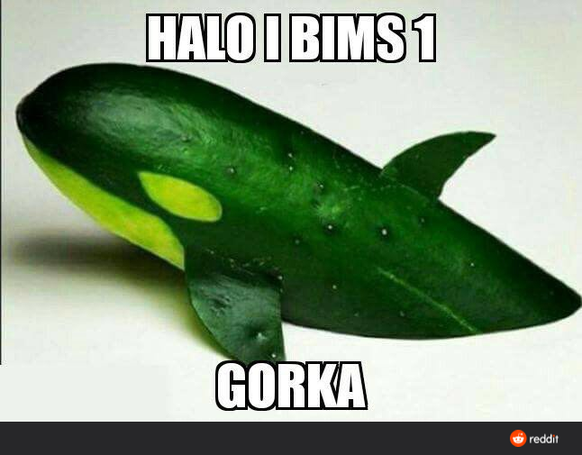 So, endlich Zeit fГјr Fondue. Und PICDUMP! рџ¤¤
Ich weiss nicht warum ich so lachen muss