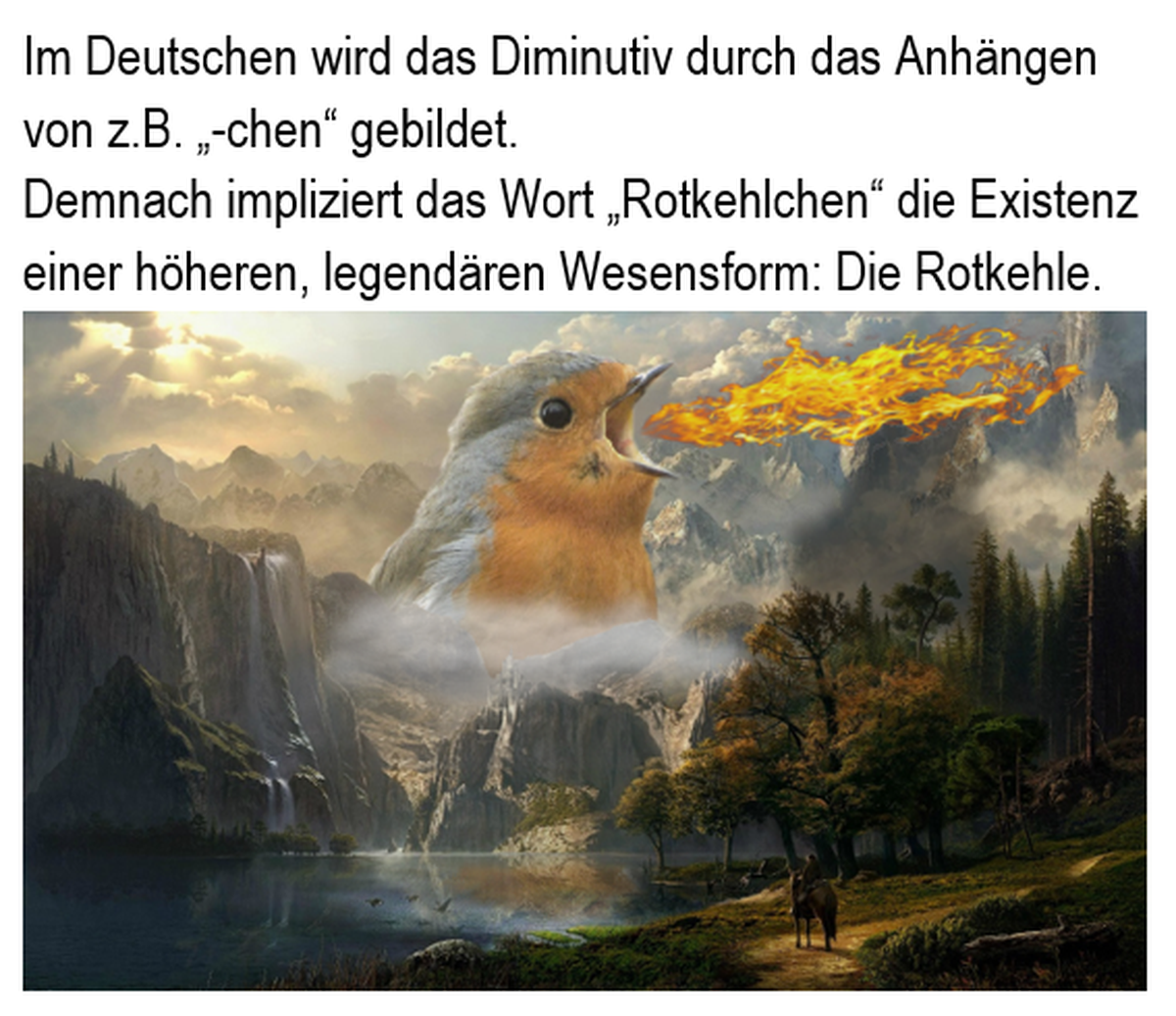 Bild