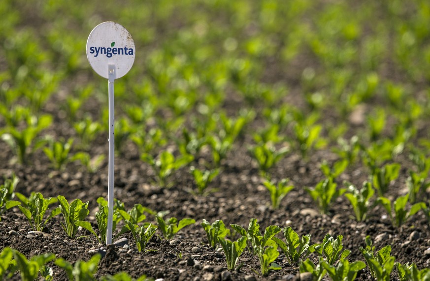 Syngenta-Deal: Lieber die Chinesen als die Amerikaner