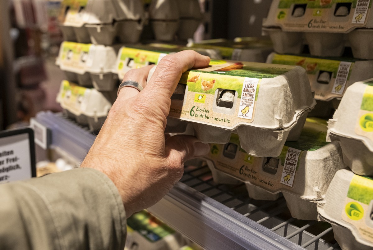 Das Regal mit den verschiedenen Sorten Eiern ist gut gefuellt, am Freitag, 7. Maerz 2025 in einer Filiale der Migros in Bern. Laut dem angebrachtem Schild kann es aufgrund eines Engpasses von Schweize ...