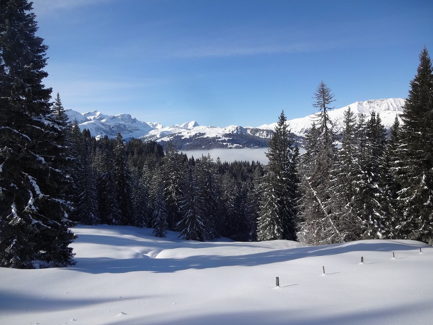 Schneeschuhtrail Bühlberg Lenk Rauszeit