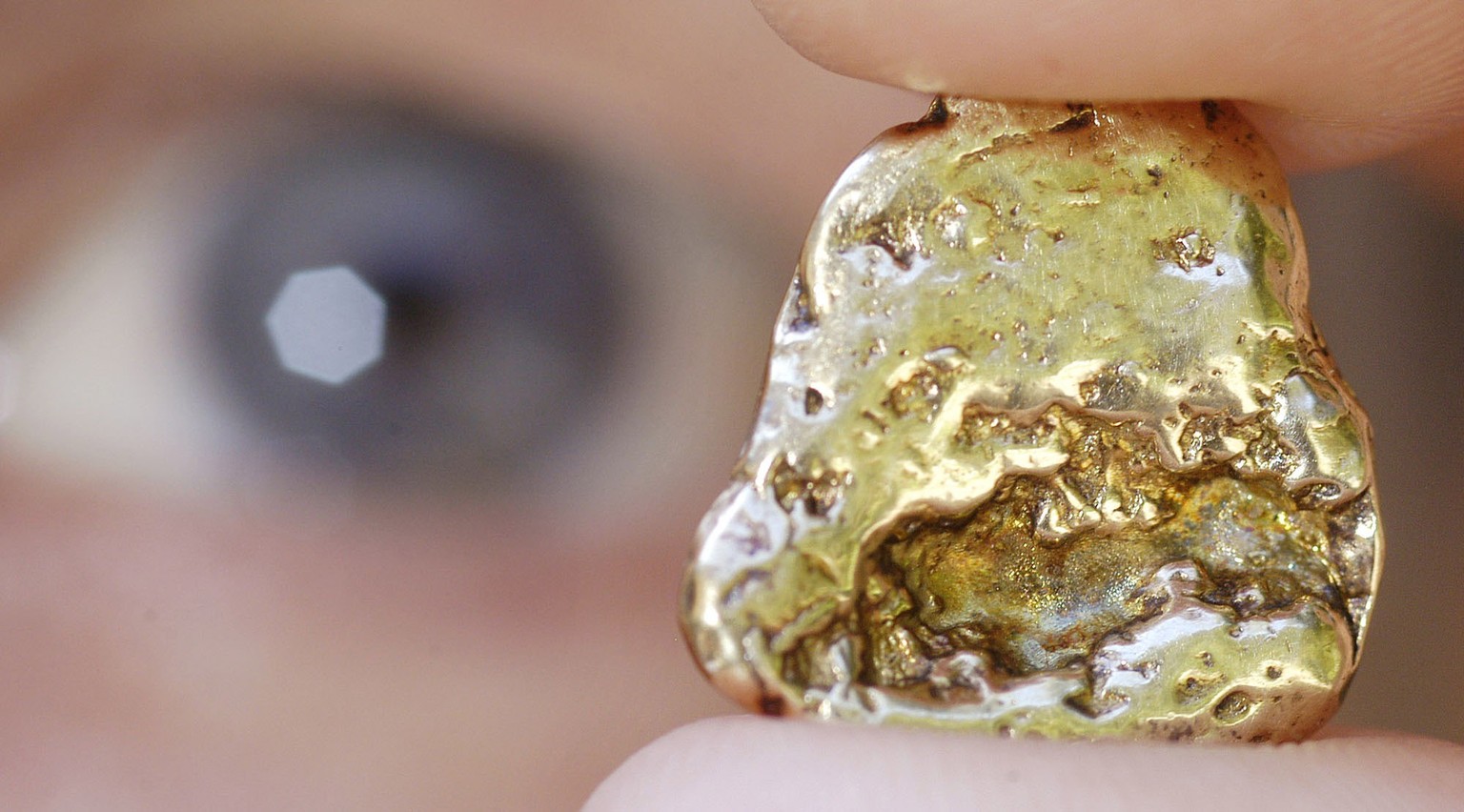 Der Geologe Markus Schade praesentiert ein 10,2 Gramm schweres Goldnugget am Dienstag, 10. August 2004, bei Theuern im Thueringer Wald. Das im 16. Jahrhundert gefundene Stueck gilt als das groesste, j ...