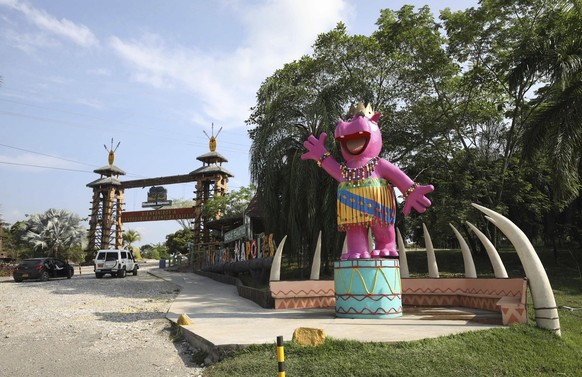 A pink statue of a hippopotamus greets tourists at Hacienda Napoles Park in Puerto Triunfo, Colombia, Thursday, February 4, 2021. Hacienda Napoles was once a private zoo housing illegally imported animals belonging to...