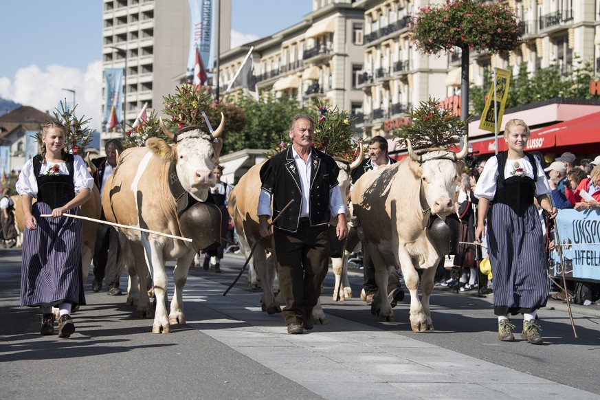 Ein Alpabzug laeuft beim Umzug am Unspunnenfest, am Sonntag, 3. September 2017, in Interlaken. (KEYSTONE/Peter Schneider)